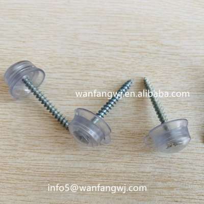 screw with plastic cap